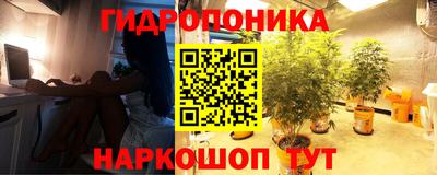 гашик Обь